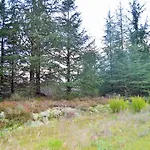 Le Grand Nature Piscine Chauffee Privee Du Tarn Entre Toulouse Et Albi & Les Du Tarn Σπίτι διακοπών