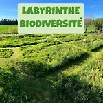 Le Grand Nature Piscine Chauffee Privee Du Tarn Entre Toulouse Et Albi & Les Du Tarn Σπίτι διακοπών Peyrole