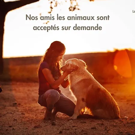 Le Grand Nature Piscine Chauffee Privee Du Tarn Entre Toulouse Et Albi & Les Du Tarn *