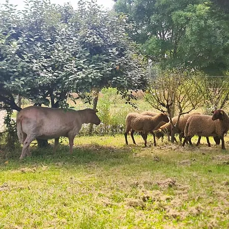 Le Grand Nature Piscine Chauffee Privee Du Tarn Entre Toulouse Et Albi & Les Du Tarn Casa de Férias Peyrole