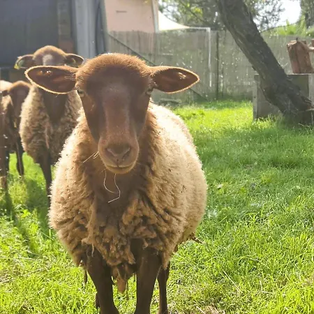 Le Grand Nature Piscine Chauffee Privee Du Tarn Entre Toulouse Et Albi & Les Du Tarn Casa de Férias