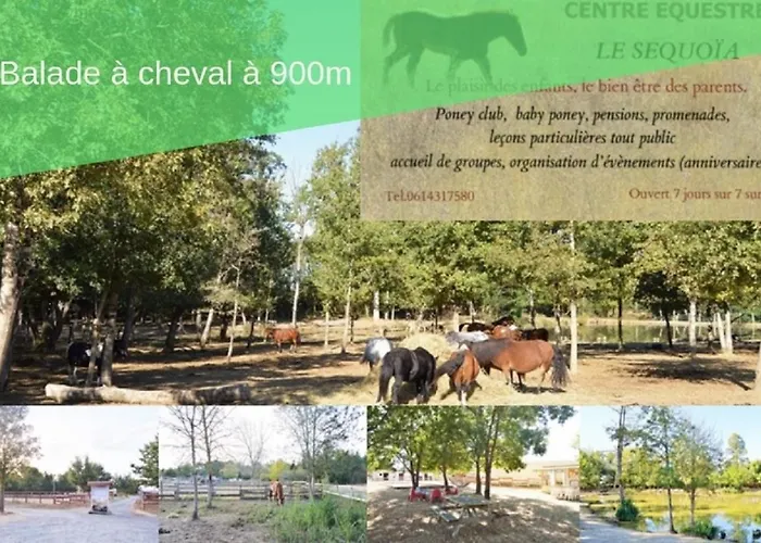 Le Grand Nature Piscine Chauffee Privee Du Tarn Entre Toulouse Et Albi & Les Du Tarn