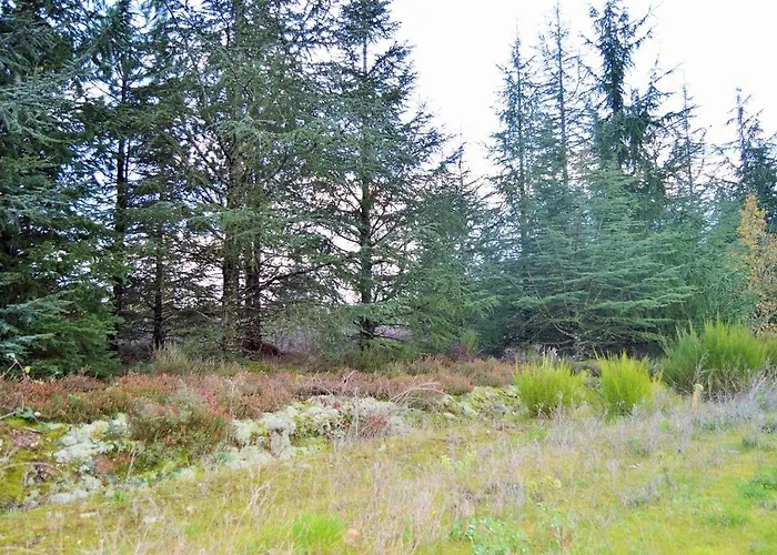 Le Grand Nature Piscine Chauffee Privee Du Tarn Entre Toulouse Et Albi & Les Du Tarn Дом отдыха