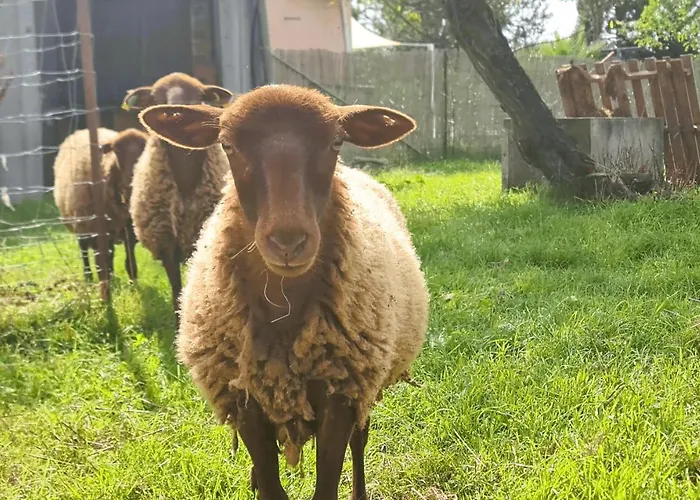 Le Grand Nature Piscine Chauffee Privee Du Tarn Entre Toulouse Et Albi & Les Du Tarn Дом отдыха